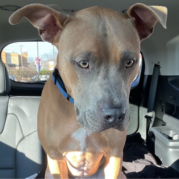 MY FAMILY - Picture 15 of 17